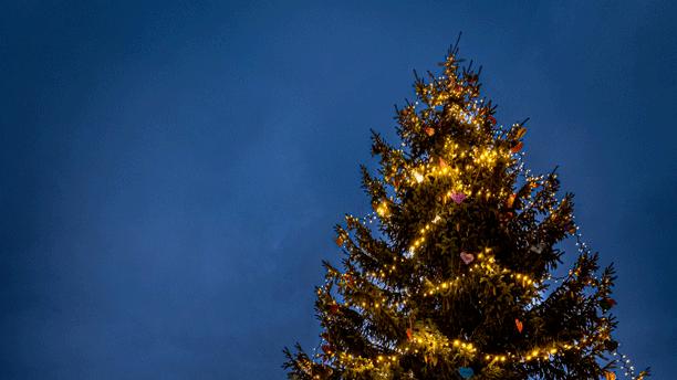 Tændt juletræ med en mørkeblå himmel som baggrund