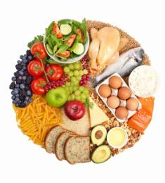 En opsat cirkel af forskellige madtyper, der spænder fra brød og pasta til grøntsager og frugt og til kød, fisk og æg.