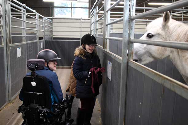 En pige står med et træksov foran en hestboks, hvor en hvid hest kigger ud på hende. Ved siden af sidder en pige i en  kørestol.